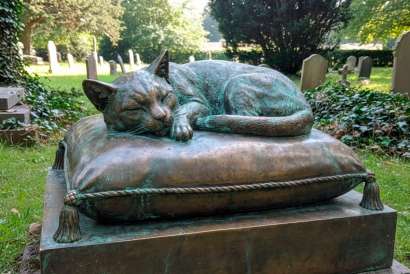 Статья Как похоронить домашнего питомца, не нарушая закон: путеводитель по белорусскому законодательству